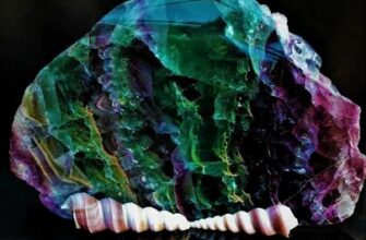 Флюорит — магические свойства камня и значение кристалла по знаку зодиака